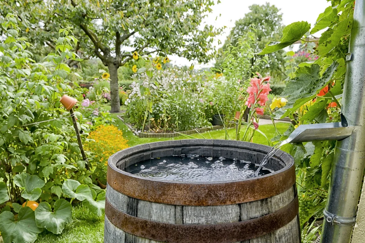 Regenwassertonne im Garten